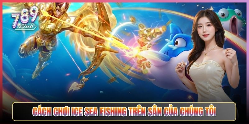 Cách Chơi Ice Sea Fishing Trên Sân Của Chúng Tôi