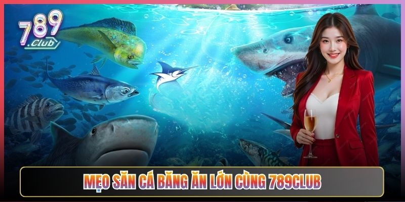 Mẹo Săn Cá Băng Ăn Lớn Cùng 789Club