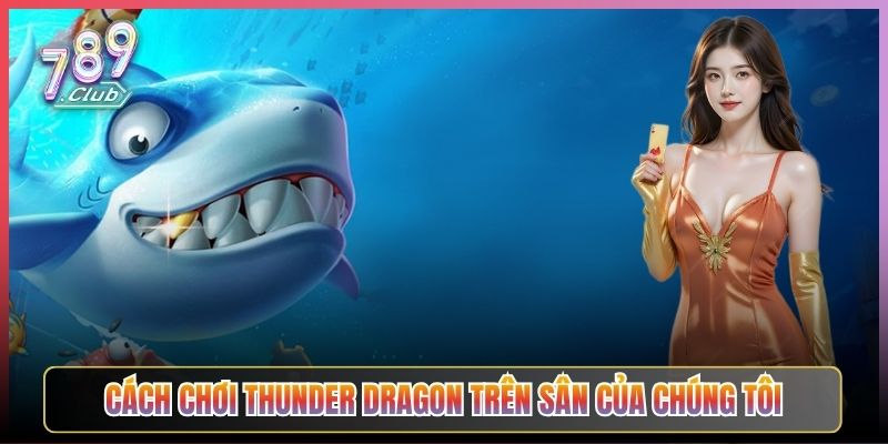 Cách Chơi Thunder Dragon Trên Sân Của Chúng Tôi