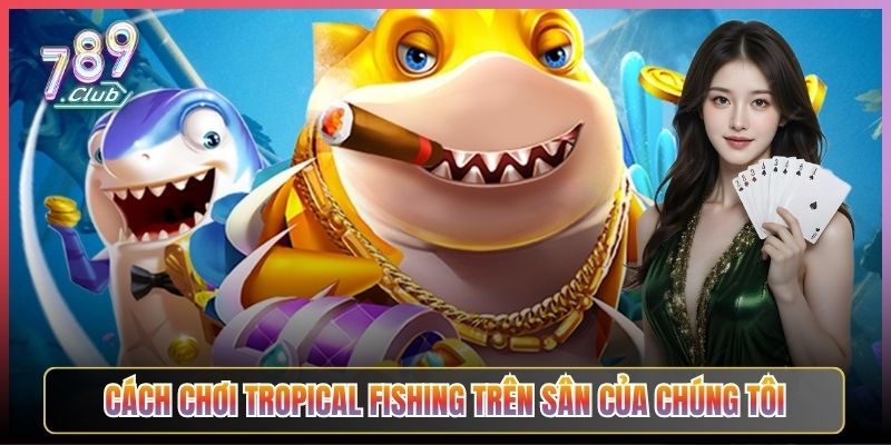 Cách Chơi Tropical Fishing Trên Sân Của Chúng Tôi