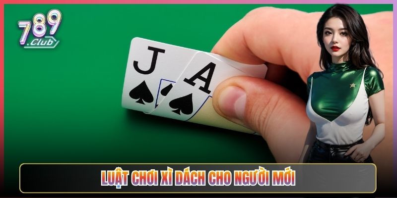 Luật Chơi Xì Dách Cho Người Mới