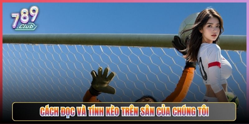 Cách Đọc Và Tính Kèo Trên Sân Của Chúng Tôi